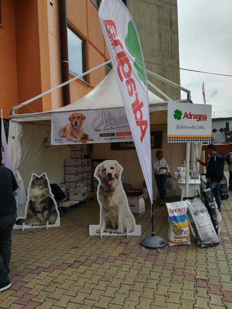 Esposizione Internazionale Canina Di Messina Adragna