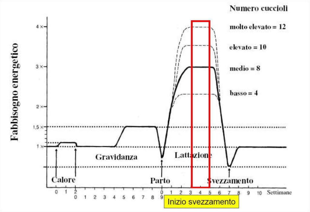 tabella nutrizionale per svezzamento